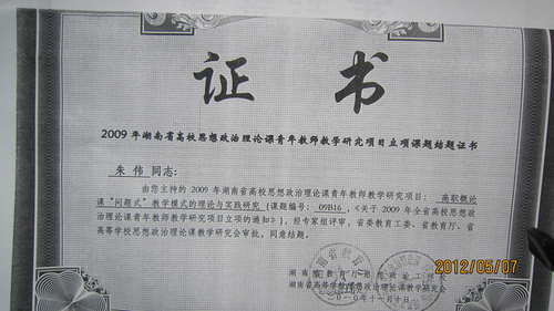 朱伟2010